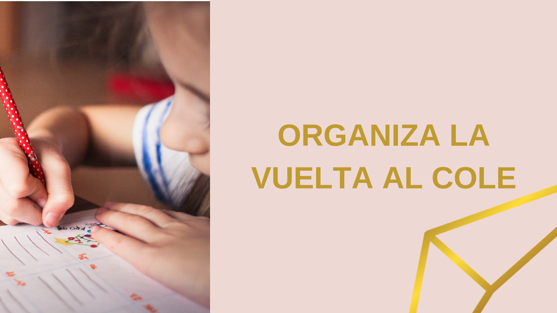 Lee más sobre el artículo Organiza la vuelta al cole